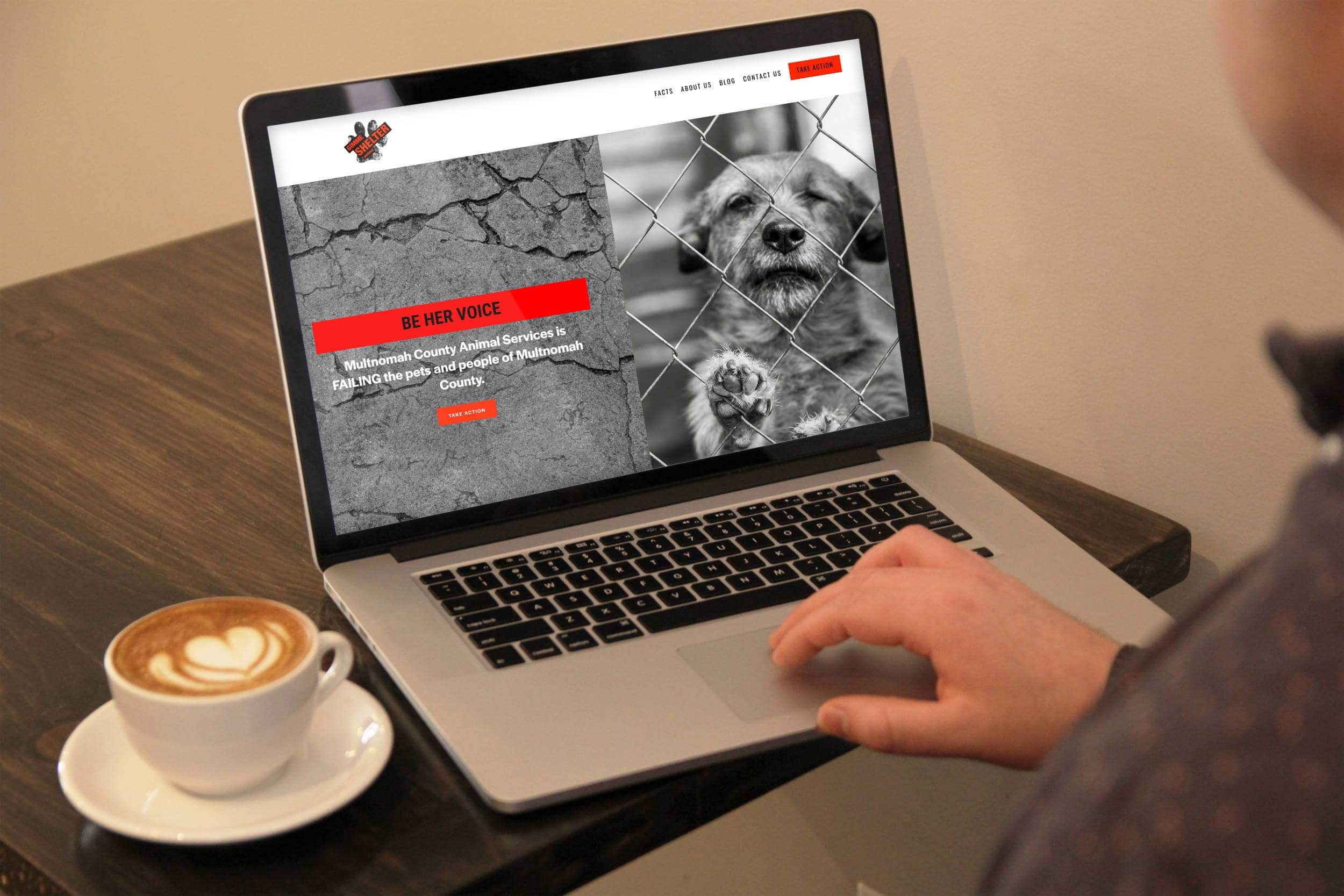  Gimme Shelter - This Design in a Day™ project is a nimble website for a campaign to improve conditions for shelter animals. The homepage tells the story, while the other pages funnel visits to take action. The blog is an ongoing educational and resource project ensuring the site is a living entity. 