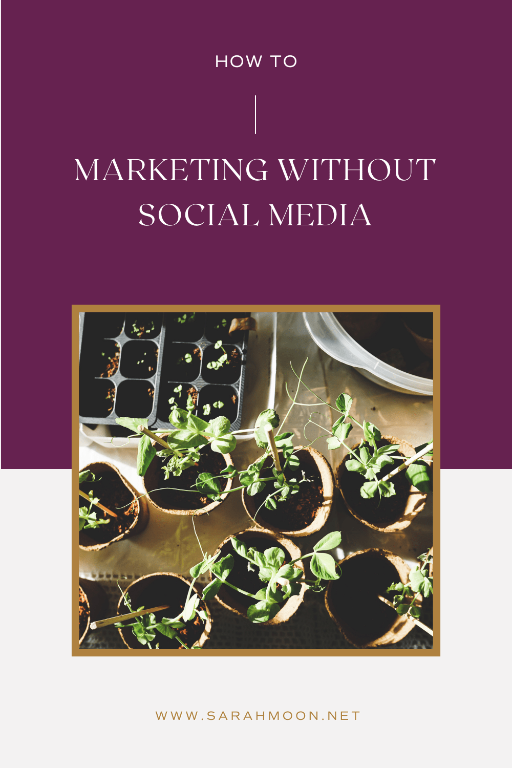 Marketing without social media - A how to guide